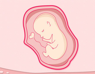 新生儿新生儿：借卵试管婴儿中什么样的胚胎是优质胚胎