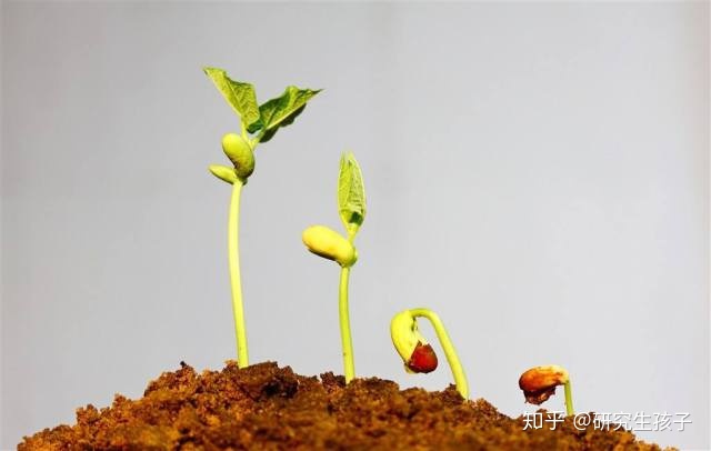 肇庆最强供卵试管婴儿都去安琪儿点赞--广东肇庆安琪儿医院做供卵试管婴儿成功率高
