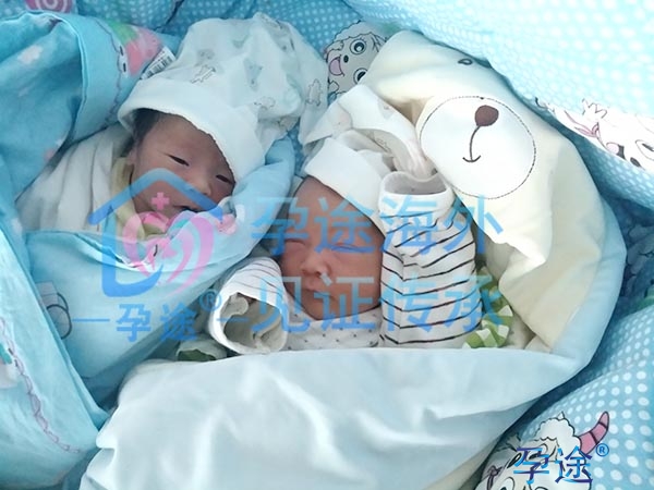 北航医院第三代赠卵试管婴儿成功率高的原因是什么？