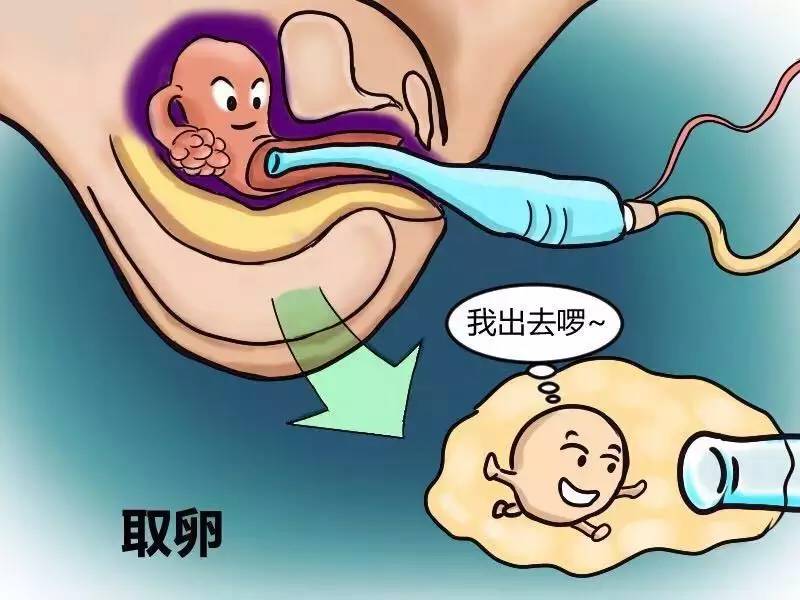供精供卵代怀机构的忏悔