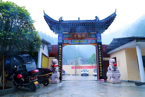 泰国供卵做试管婴儿成功率为什么这么高答案很明确