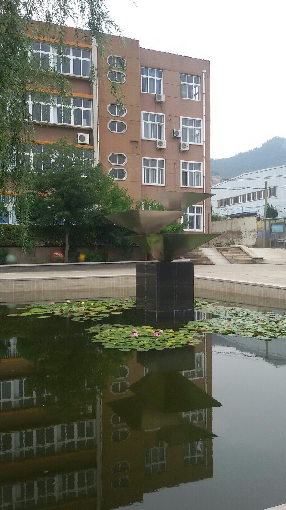 泰国供卵做试管婴儿成功率为什么这么高答案很明确