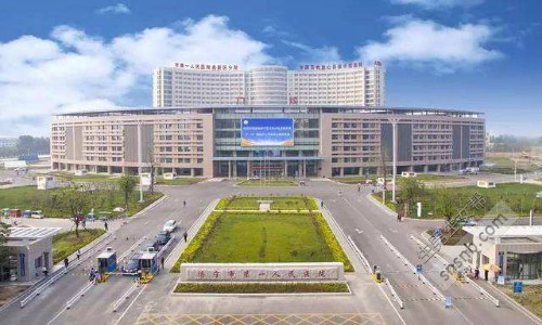试管婴儿冻胚是什么意思