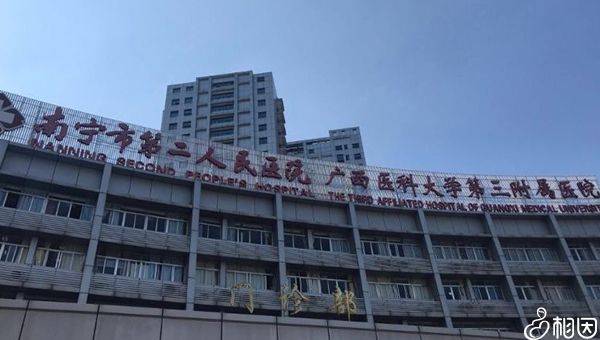 广州市人民医院试管婴儿成功率