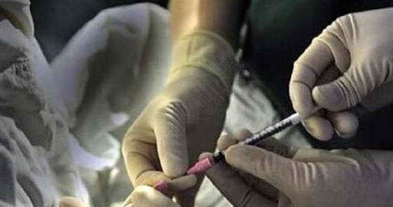 试管婴儿养囊胚成功率
