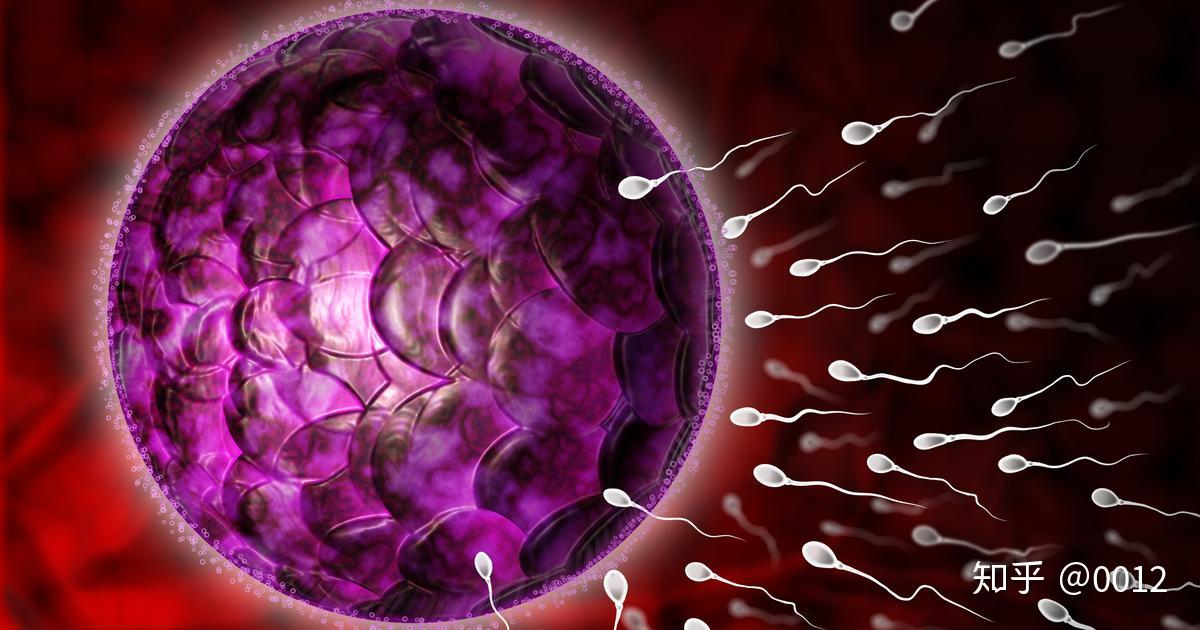 妹妹患有卵巢早衰,想了解下2023年在广州的私立医院同性恋代生孩子需要准备多少钱？