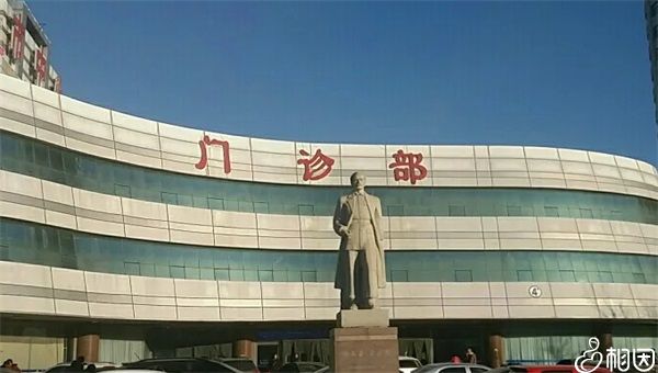 闭经了怎么做试管