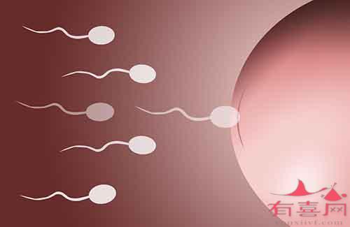 广州代怀双胞胎包成功婴儿生男孩的概率有多大（附热门试管医院导航）