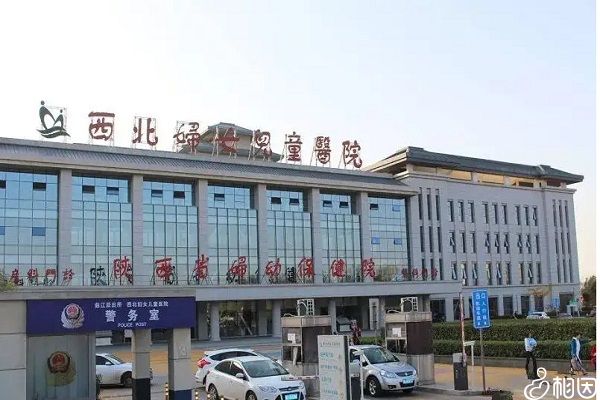 2024年试管费用+2024年试管代怀夫妻费用多少钱