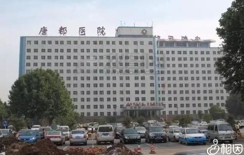 试管二超毕业了!分享试管心路历程!