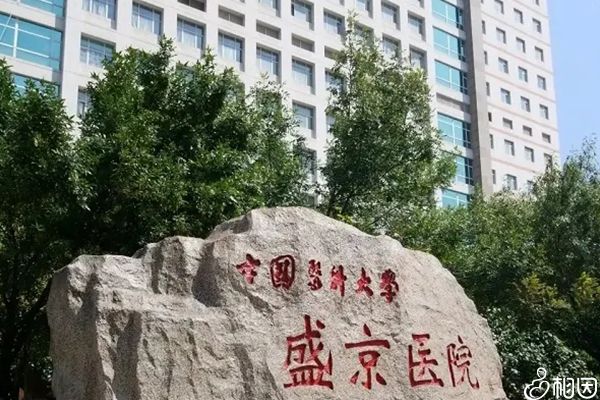 6个养生妙方有效拒绝卵巢早衰