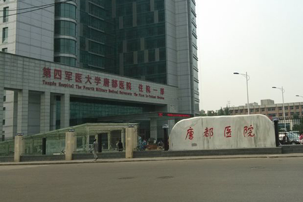 试管移植时孕酮值很重要吗