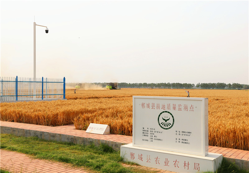 哪家医院可以做供卵试管多少钱