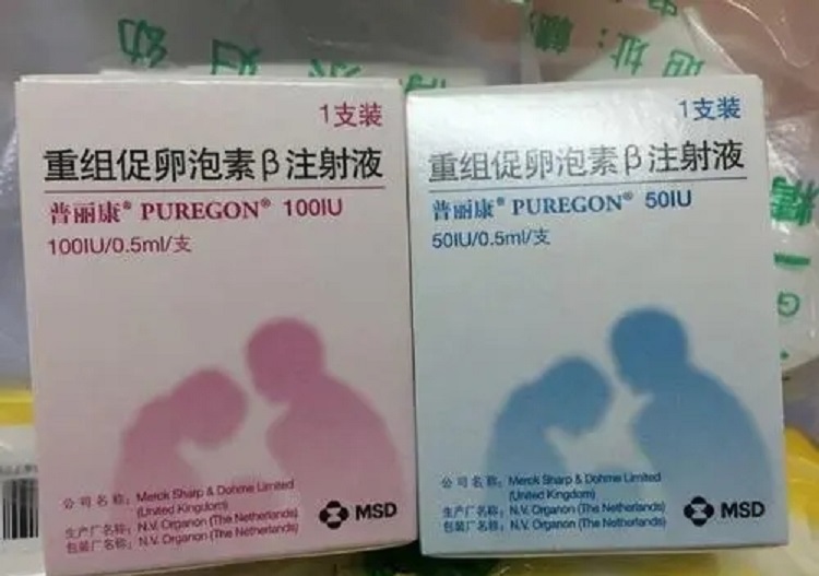 既供卵又供精+有没有又供卵精的